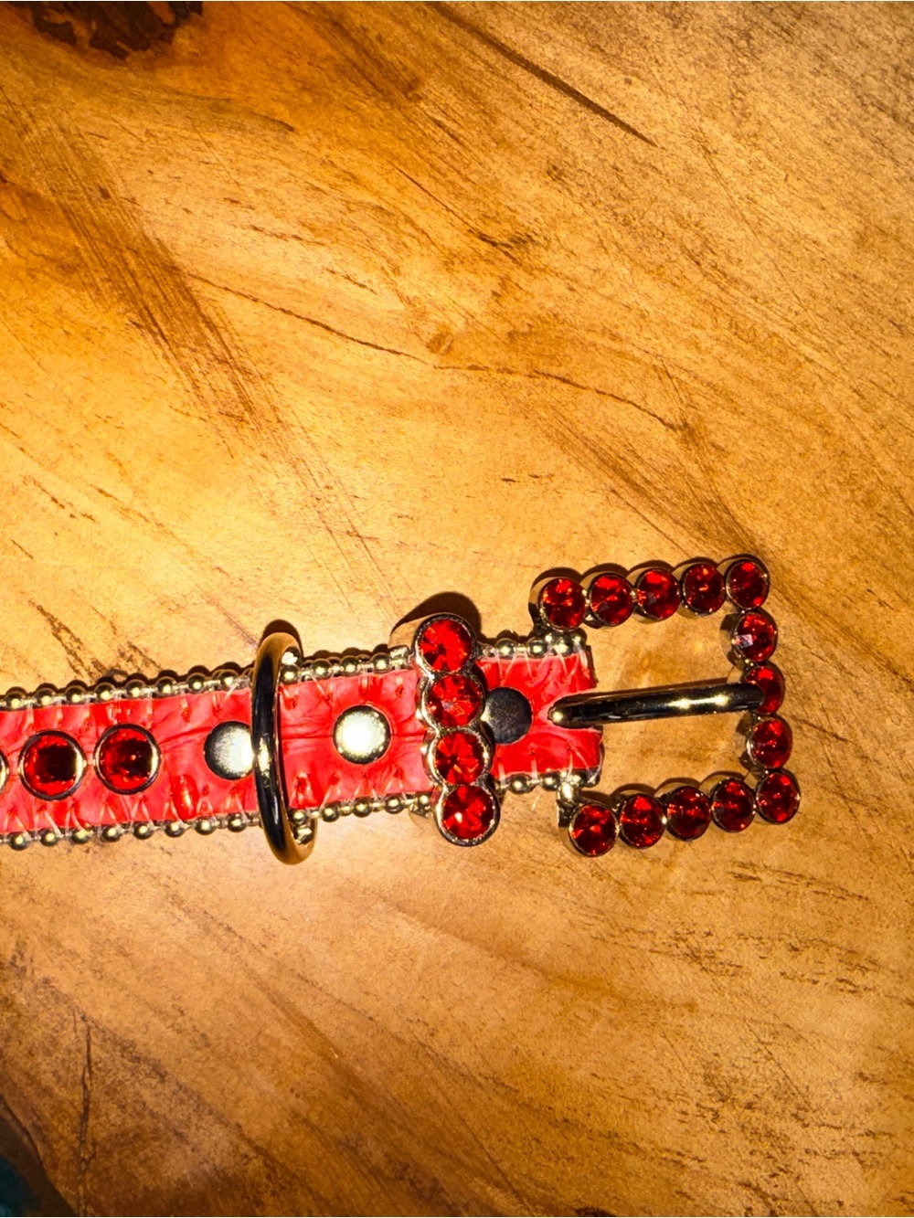 B.B. Simon Red Crystal Buckle and Strap Dog Collar - Picture 7 of 7